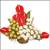 Friendship Blossoms - Click here to View more details about this Product